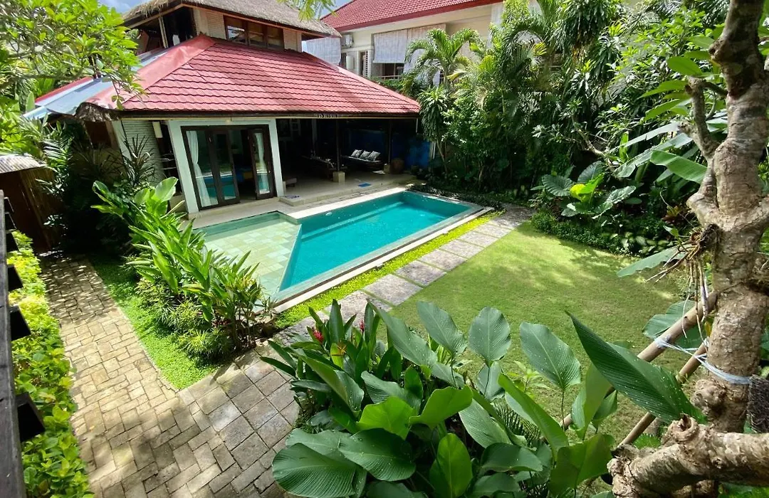 Little Tree House-1